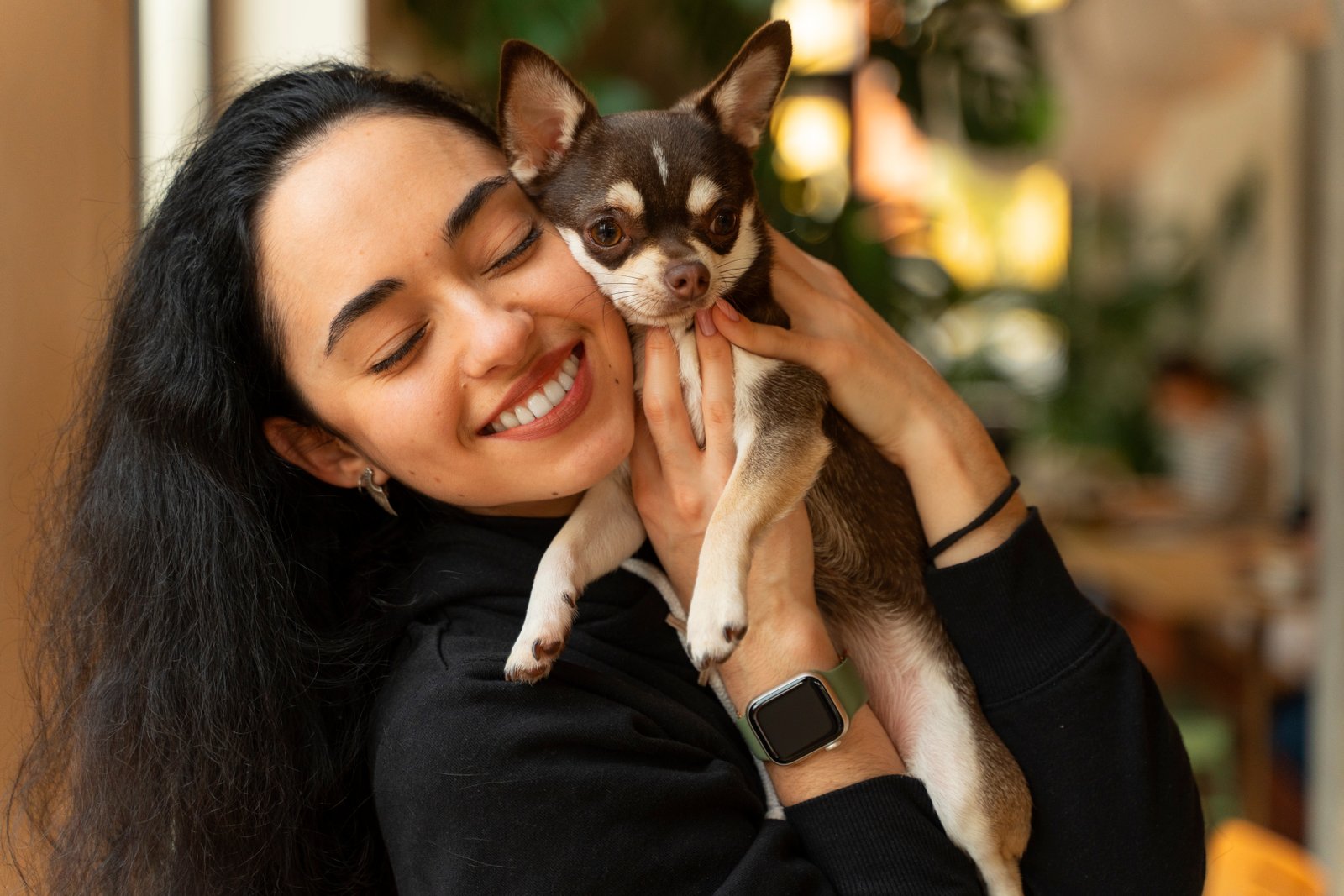 Criando um ambiente doméstico seguro para seu animal de estimação